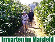 Hofreiter - “Irrgarten im Maisfeldlabyrinth” in Lochhausen und Johanneskirchen (